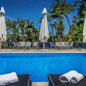https://leandros-hotel.hotelschalkidiki.net